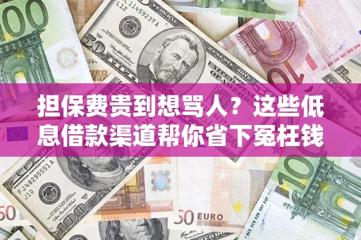 济南担保费贵到想骂人？这些低息借款渠道帮你省下冤枉钱