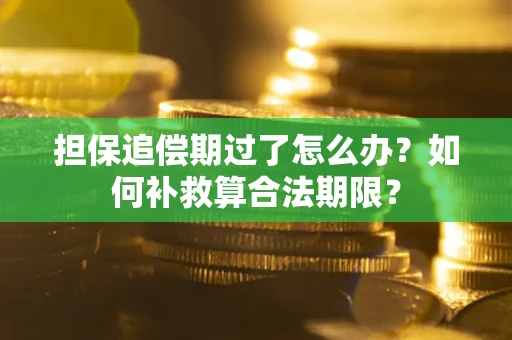 济南担保追偿期过了怎么办？如何补救算合法期限？